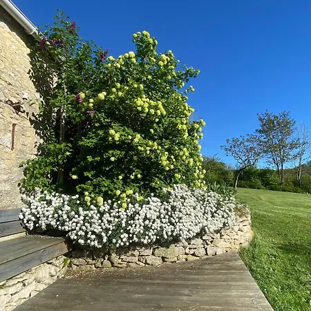 Authentique Avec Piscine Proche Rocamadour Le Vigan (Lot)