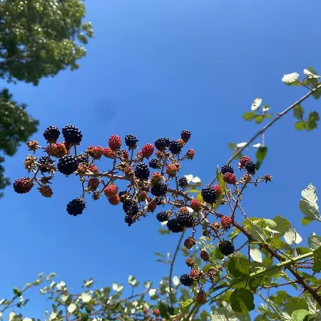 Authentique Avec Piscine Proche Rocamadour