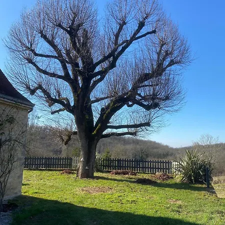 Authentique Avec Piscine Proche Rocamadour