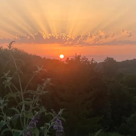 Authentique Avec Piscine Proche Rocamadour Σπίτι διακοπών