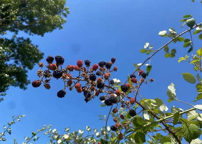 Authentique Avec Piscine Proche Rocamadour