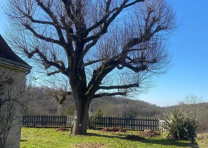 Authentique Avec Piscine Proche Rocamadour