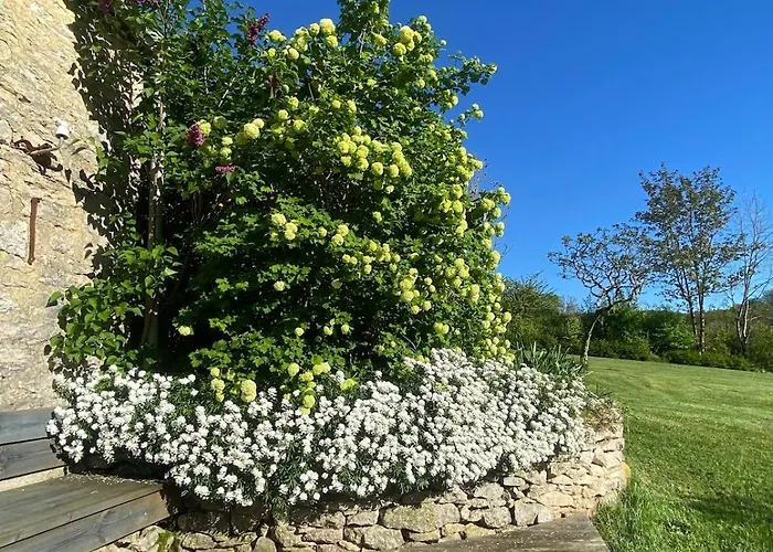 Authentique Avec Piscine Proche Rocamadour Le Vigan (Lot)