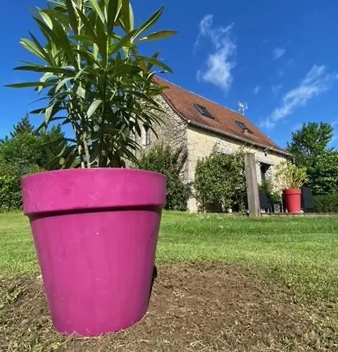 Dom wakacyjny Authentique Avec Piscine Proche Rocamadour Le Vigan (Lot)